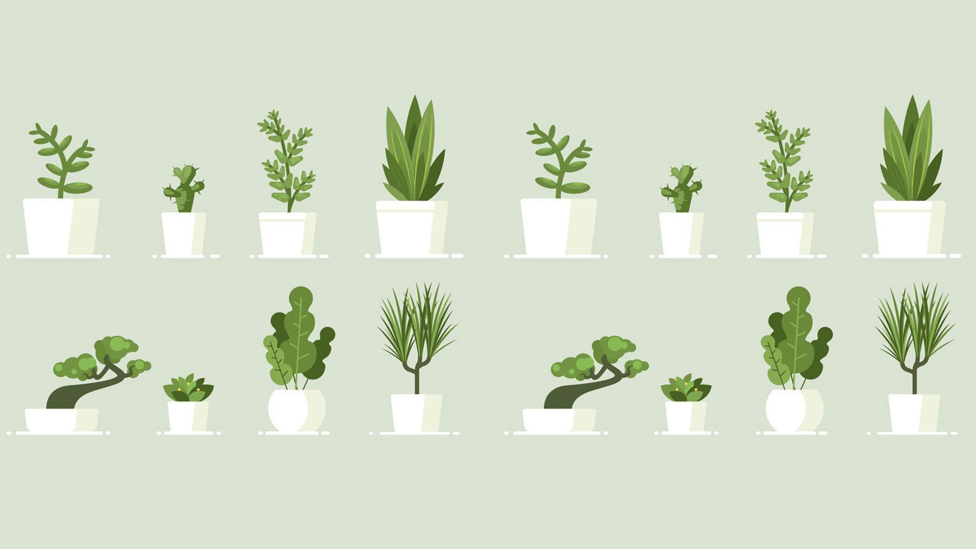 هر آنچه باید دربارهی گیاهان آپارتمانی بدانید (فواید، مشکلات، انواع، تاریخچه و…)